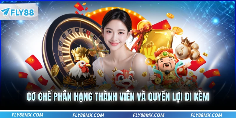 Cơ chế phân hạng thành viên và quyền lợi đi kèm
