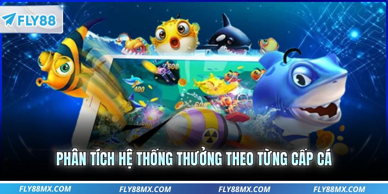 Phân tích hệ thống thưởng theo từng cấp cá