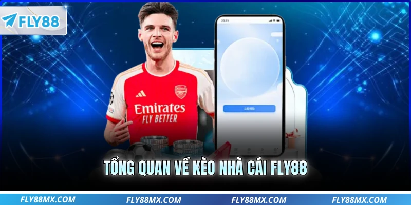 Tổng quan về kèo nhà cái Fly88